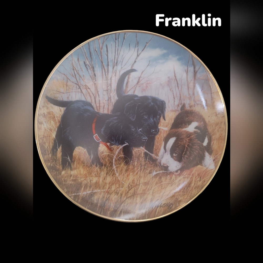 Franklin Mint Plate collectible 8" vintage dish